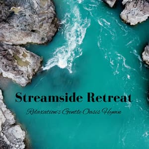 Streamside Retreat: Relaxation's Gentle Oasis Hymn - Baltic Nature Sounds