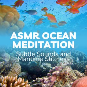 ASMR Ocean Meditation: Subtle Sounds and Maritime Stillness - Waves Central