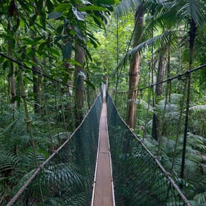 Serene Canopy: A Nature-Inspired Harmonic Journey - Factorial FX