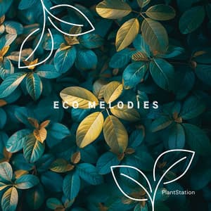 Eco Melodies: Support Plant Health - PlantStation