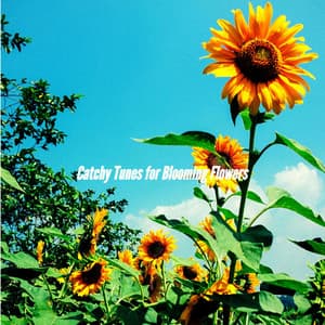 Catchy Tunes for Blooming Flowers - Smooth Morning Jazz