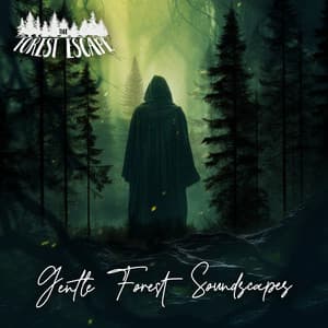 Gentle Forest Soundscapes - The Forest Escape