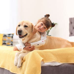 Companion Cadence: Jazz Piano for Pet Bliss - Amazing Jazz Piano Background