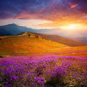 Music For Deep Relaxation And Quiet Escape - Relax Radio