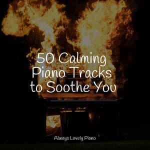 The Ultimate Piano Collection - Little Magic Piano