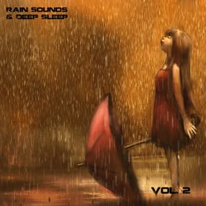 Rain Sounds and Deep Sleep, Vol. 2 - The Premier Deep Sleep Rain Experts