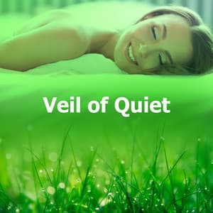 Veil of Quiet - Healing Sounds for Deep Sleep and Relaxation