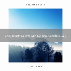 Enjoy Christmas Time with Top Carols and Bird Calls - Water Soundscapes
