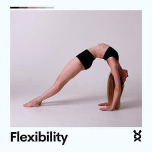 Flexibility - Instrumental