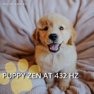 Puppy Zen at 432 Hz - Dog Frequencies
