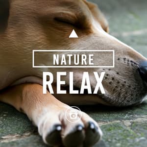 Nature Relax - Dog Music