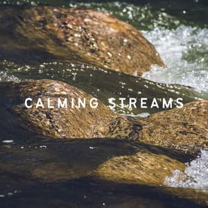 Calming Streams - 4D Nature Recordings