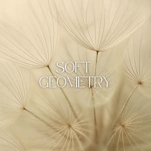 Soft Geometry - Natalia Oneiros