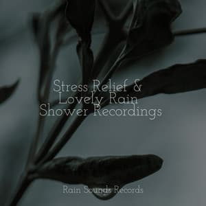 Stress Relief & Lovely Rain Shower Recordings - Canción de Cuna