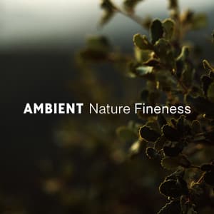 Ambient Nature Fineness - Nature Sounds Artists