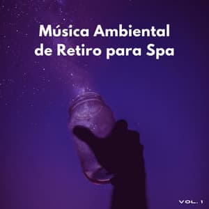 Música Ambiental De Retiro Para Spa Vol. 1 - Alguna música