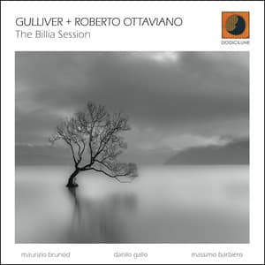 The Billia Session - Massimo Barbiero