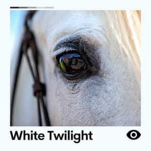 White Twilight - Ambient Nature White Noise