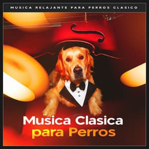 Musica Clasica para Perros - Musica Relajante para Perros Clasico