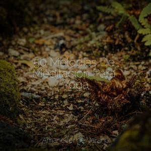 50 Melodías De Meditación Para Yoga - Musica Romantica