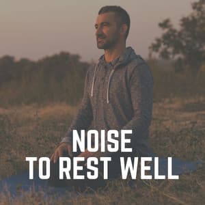 Noise to Rest Well - Hi Freq Samples
