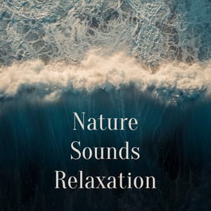 Nature Sounds Relaxation - Naturgeräusche