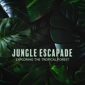 Jungle Escapade: Exploring the Tropical Forest - Exotic Nature Kingdom
