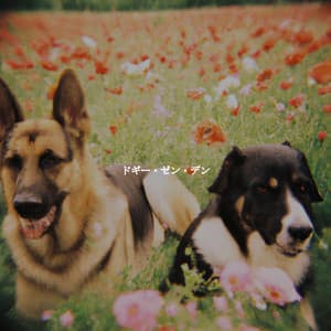 ドギー・ゼン・デン - Jazz Ambiental para Hoteles