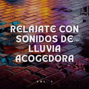 Relájate con Sonidos de Lluvia Acogedora Vol. 1 - Sonido de lluvia ricky
