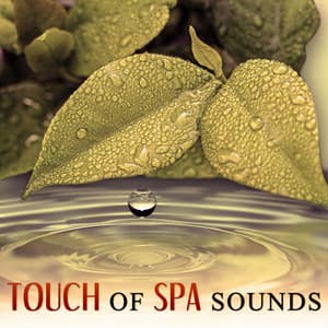 Touch of Spa Sounds – Most Nature Sounds for Spa & Wellness, Create Atmosphere of Beauty & Calmness at Your Home, Peaceful Music, Smooth Sounds, Bliss Spa - Day Spa Academy