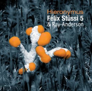 Hieronymus - Ray Anderson
