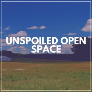 Unspoiled Open Space - Soothing Music Academy