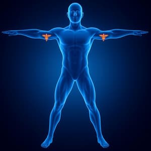 Clears Toxins & Electromagnetic Radiation from the Body - John Solfeggio