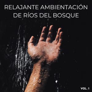 Relajante Ambientación De Ríos Del Bosque Vol. 1 - Sonidos de la Naturaleza JBE