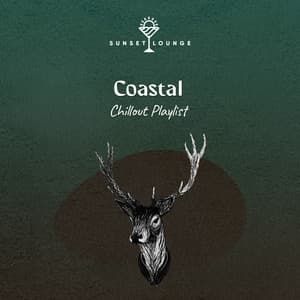 Coastal Chillout Playlist - Palm Analogue