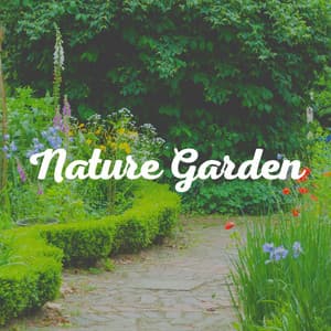 Nature Garden - Sounds of the Forest