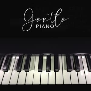 Gentle Piano – Instrumental Background Music - Theodore Leth