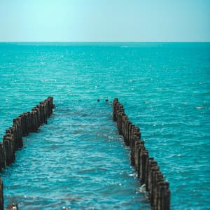 10 PM Wellness: Sound Therapy For Sleep - Ocean Waves For Sleep