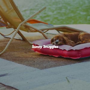 Sunny Snuggles - Hotel Lounge Deluxe