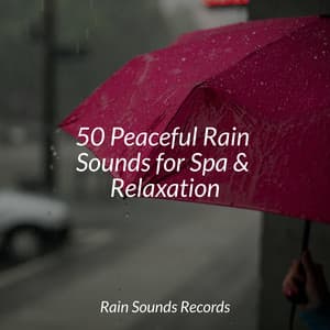 50 Peaceful Rain Sounds for Spa & Relaxation - Avslappning Sound