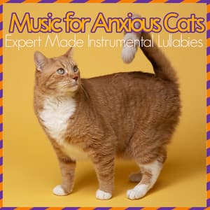 Music for Anxious Cats - Expert Made Instrumental Lullabies - Cat Music Zone