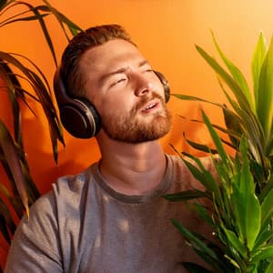 Armonía Lofi: Flujo Musical Suave - Música de la Naturaleza