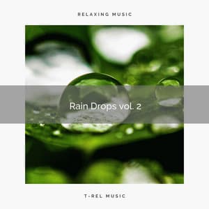 ! -= Rain Drops vol. 2 =- ! - Nature Sounds for Sleep and Relaxation