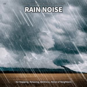 #01 Rain Noise for Napping, Relaxing, Wellness, Noise of Neighbors - Rain Sounds to Fall Asleep To