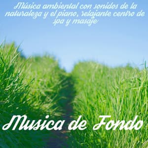 Musica de Fondo – Música ambiental con sonidos de la naturaleza y el piano, relajante centro de spa y masaje - Música relajante con sonidos de la naturaleza