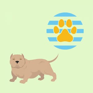 Echoes of Calming Dog Days - Puppy Sleeping Sounds