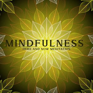 Mindfulness: Here and Now Meditation, Real-Time Present Awareness, Grounding in Times of Stress - Mindfulness Meditation Universe
