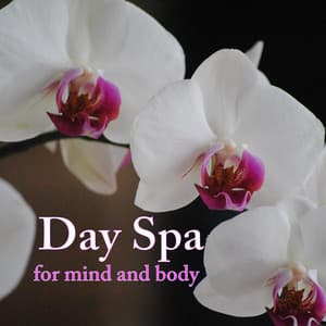 Day Spa for Mind and Body: Music and Nature Sound for Yoga, Massage, and Holistic Healing - Spa Music Collective