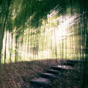 50 Songs For The Night: Ambient Synths - White Noise Therapy
