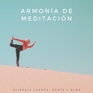 Armonía De Meditación: Alinéate Cuerpo, Mente Y Alma - Reiki y Tai Chi Armonía